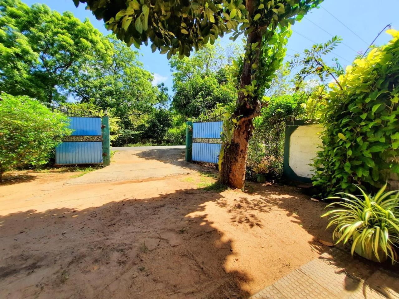 Hostel -In Front Of The National Park- Udawalawe Eksteriør bilde