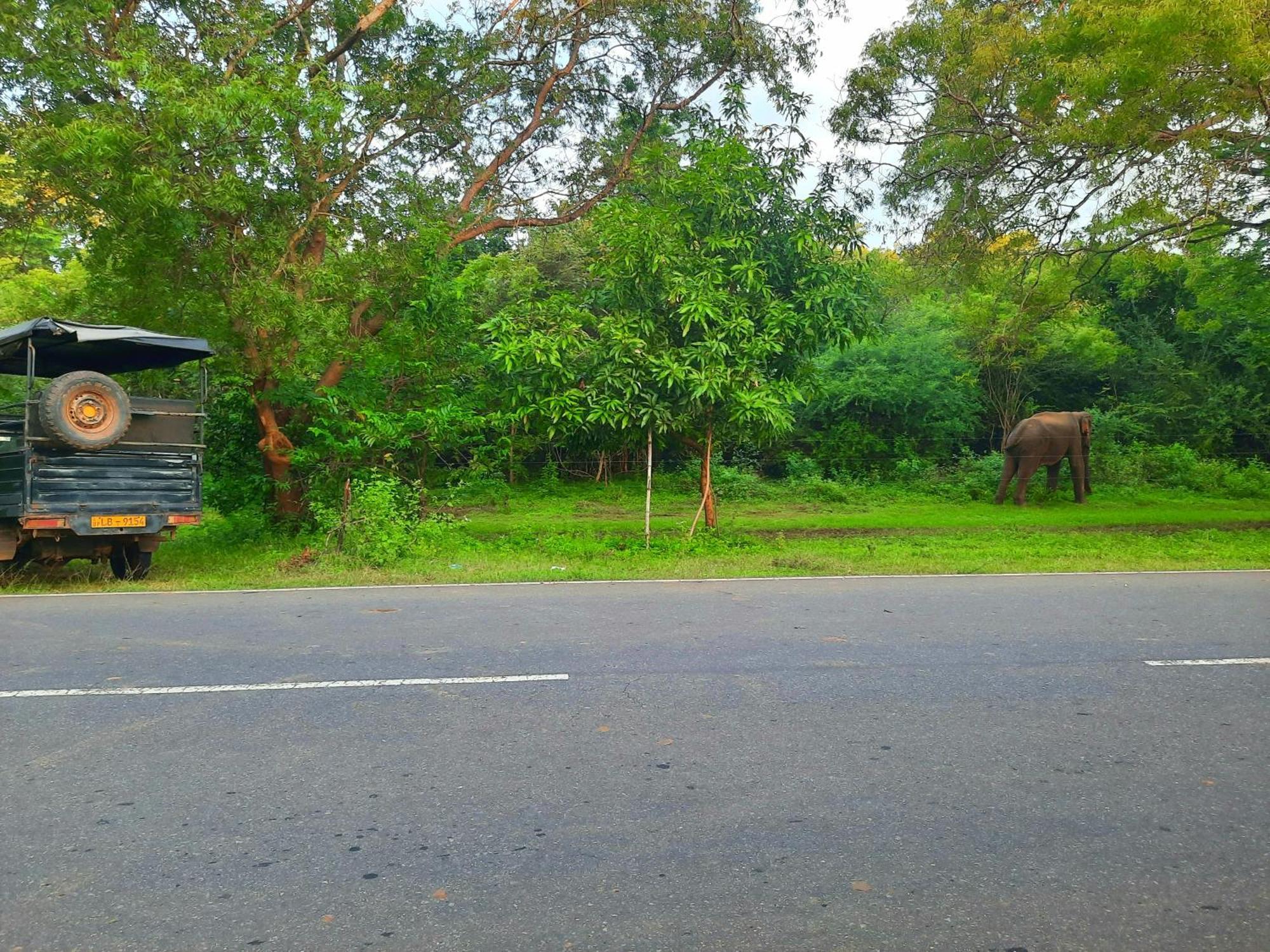 Hostel -In Front Of The National Park- Udawalawe Eksteriør bilde